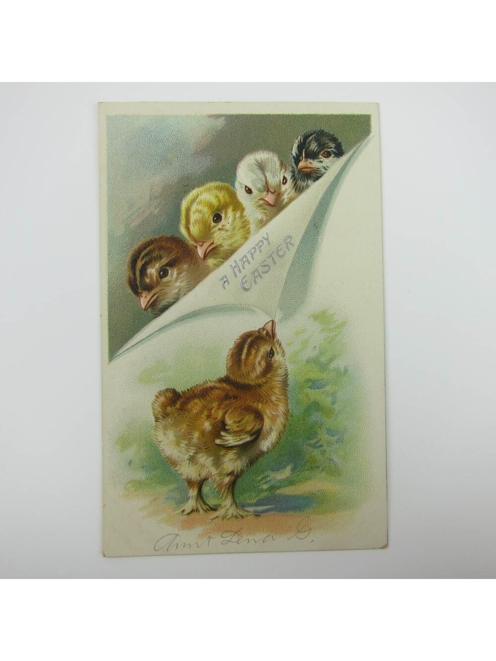 Easter Postcard 5 Chicks Brown Yellow White Black Raphael Tuck Embossed Antique